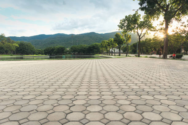 Best Residential Paver Driveway  in Kenbridge, VA